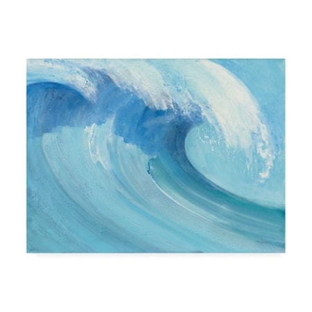 Albena Hristova 'Catch A Wave' Canvas Art,35x47
